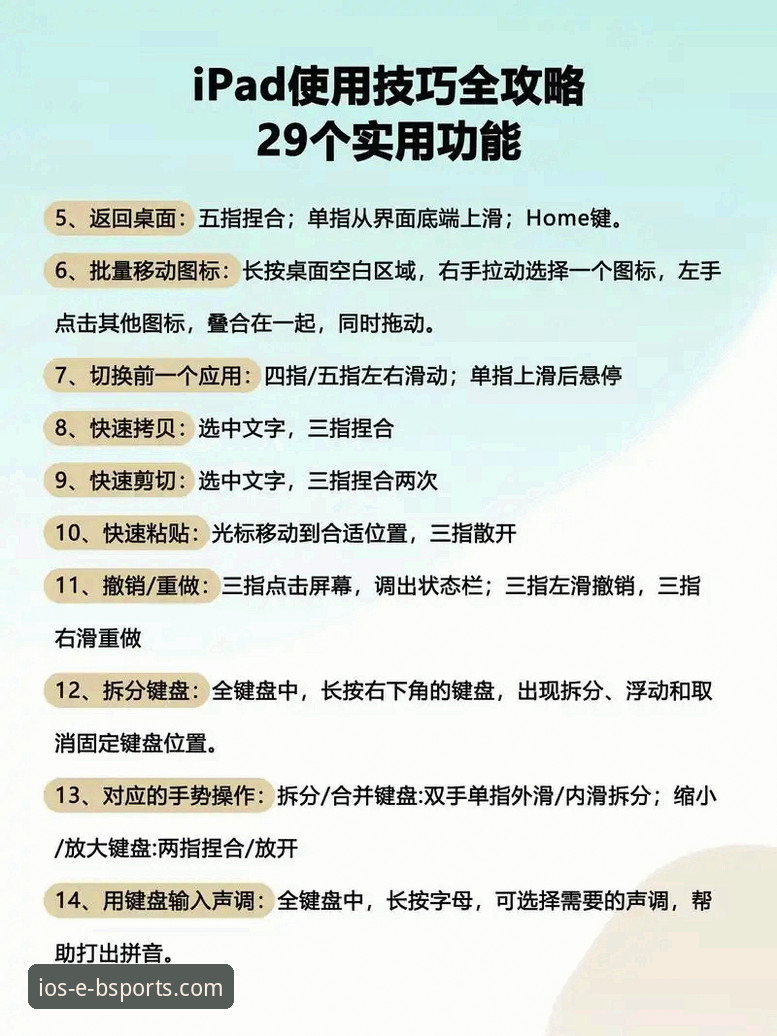 b体育APP苹果版使用指南：从下载到高效体验的完整攻略