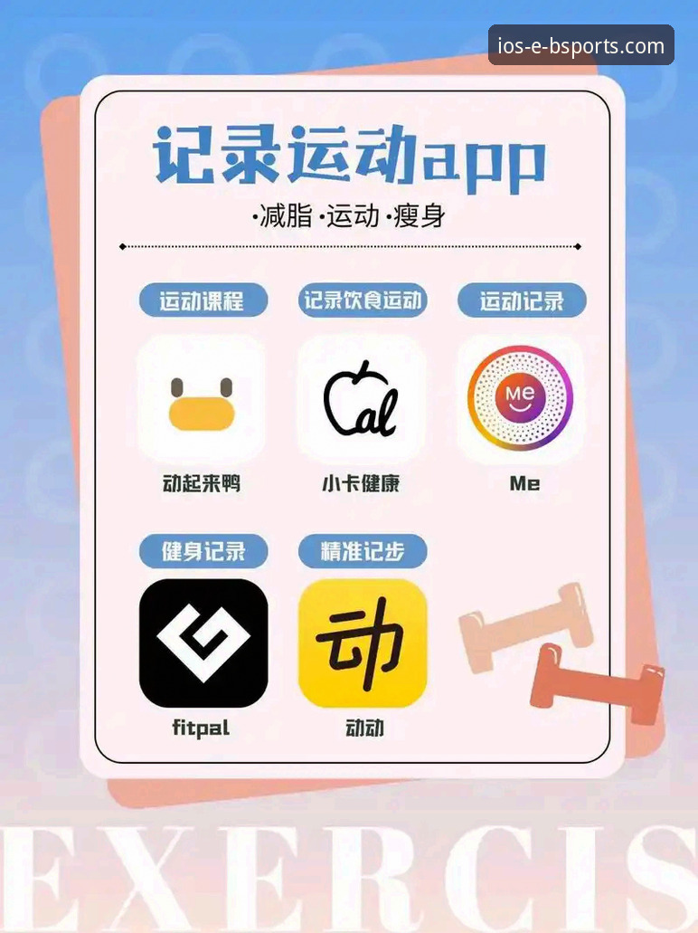 b体育APP苹果版使用指南：从下载到高效体验的完整攻略